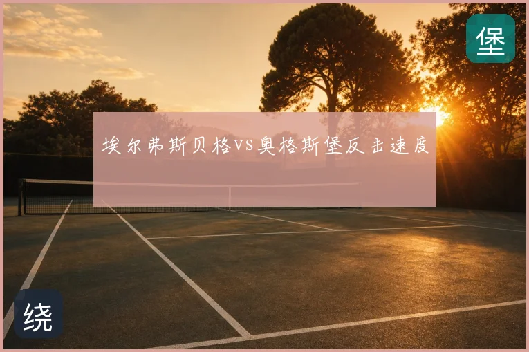 埃尔弗斯贝格vs奥格斯堡反击速度
